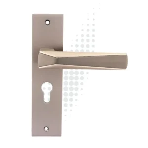 Mortise Locks